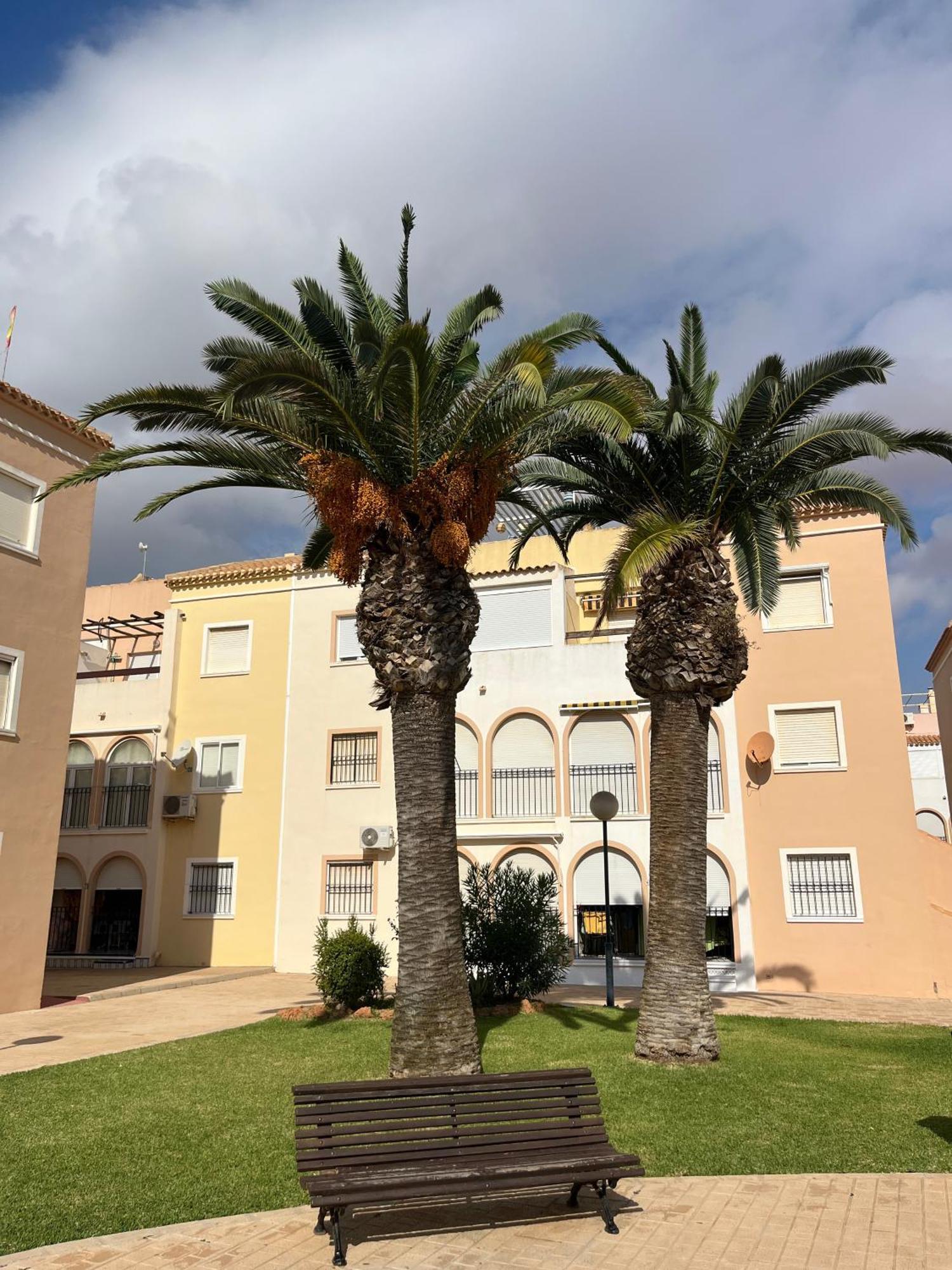 Torrevieja 2 Bedrooms Appartment Экстерьер фото