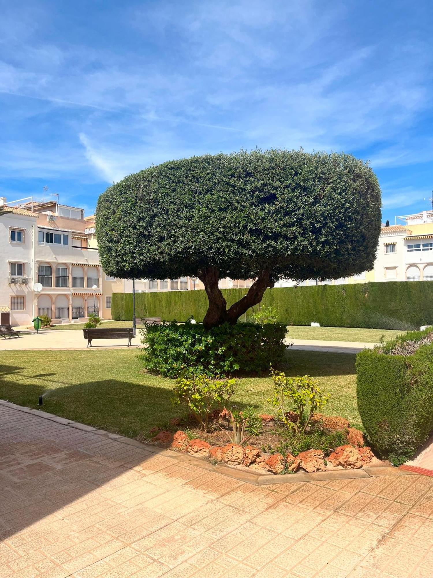 Torrevieja 2 Bedrooms Appartment Экстерьер фото